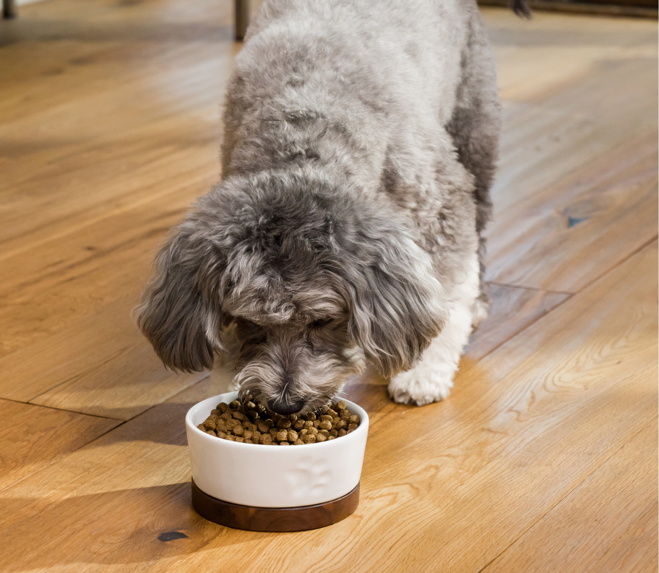 Grass-Fed Beef Grain-Free Dog Kibble