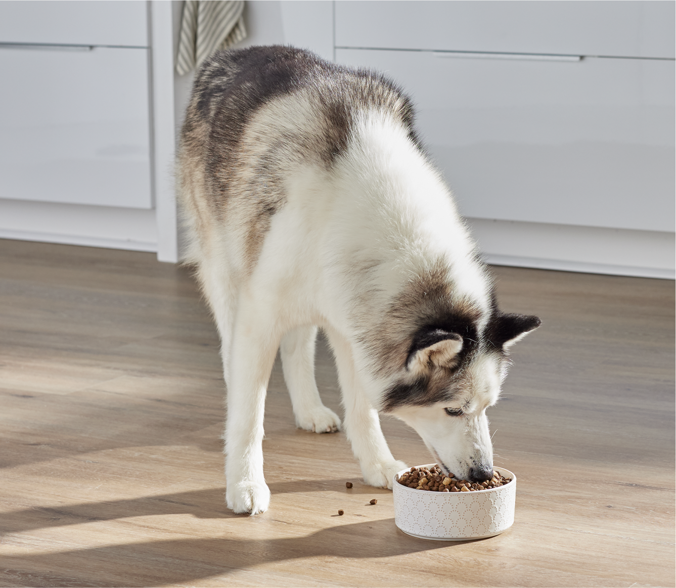 RawMix Wild Ocean Ancient Grains Dog Kibble